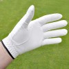 INTECH CABRETTA GOLF GLOVES for RIGHT HANDED GOLFERS: GLOVE FITS ON THE LEFT HAND